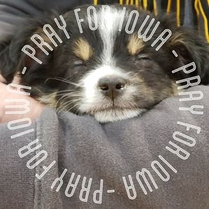 Meet your Posher, Jodi